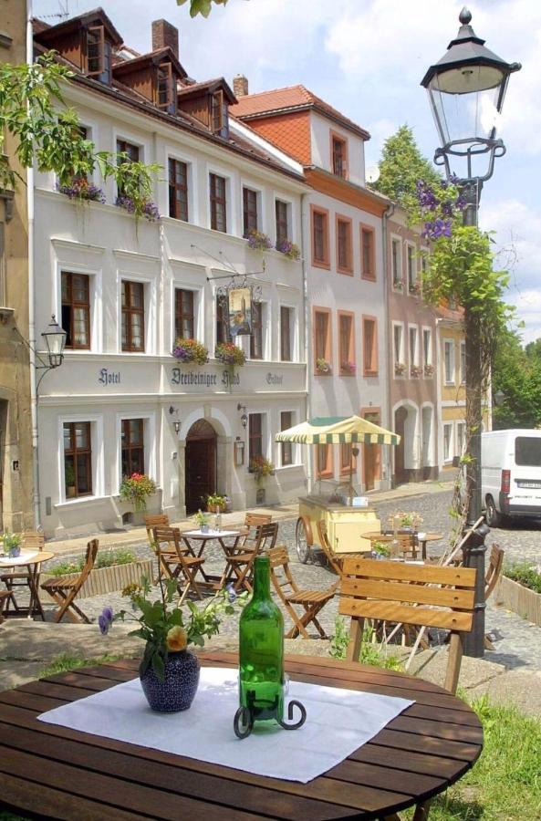 Apartment Und Dreibeiniger Hund *